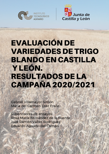 Evaluación de variedades de trigo blando en Castilla y León