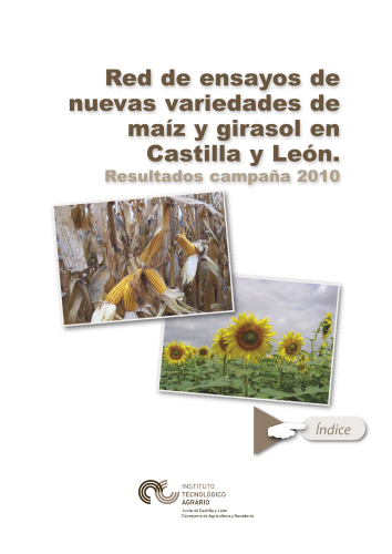 Red de ensayos de nuevas variedades de maíz y girasol en Castilla y León. Resultados Campaña 2010